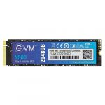 EVM N500 2TB PCLE Gen 4.0 NVMe SSD EVMNV500/2048GB